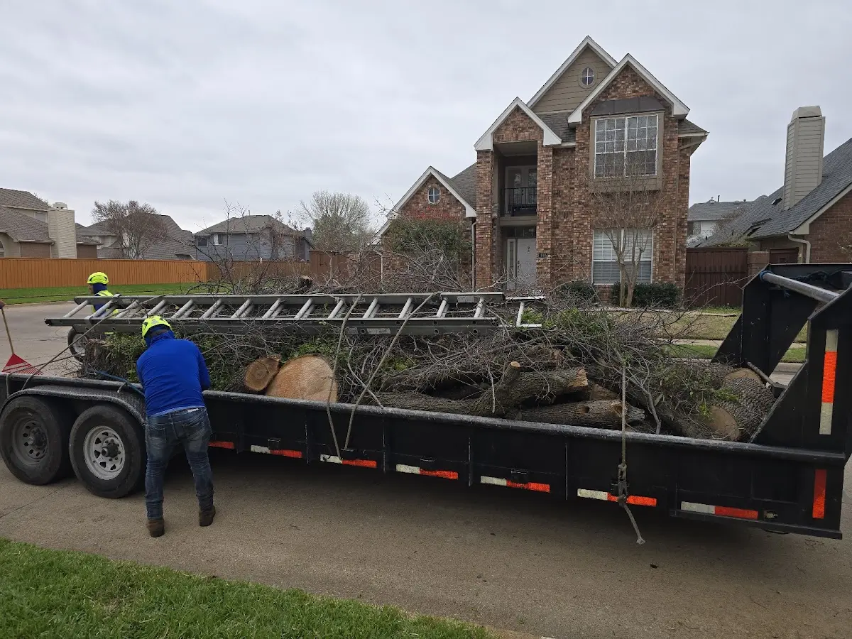 Expert Tree Removal with proper safety equipment in Heilwood